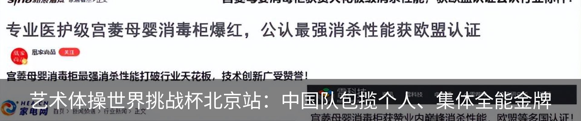 新闻动态